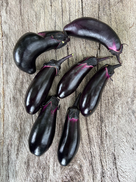 Japanese Eggplant