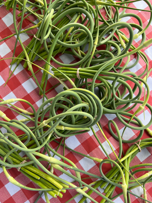 Garlic Scapes
